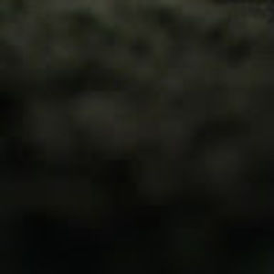 Meet your Posher, Angel noah